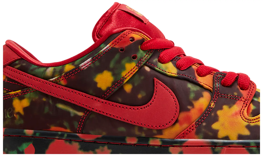 Nike SB Dunk Low " The Wizard of OZ"