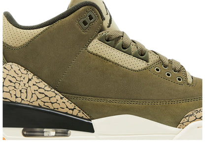 Air Jordan 3 Retro 'Family Affair'
