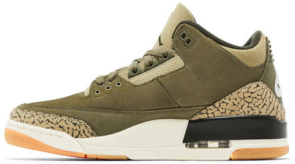 Air Jordan 3 Retro 'Family Affair'