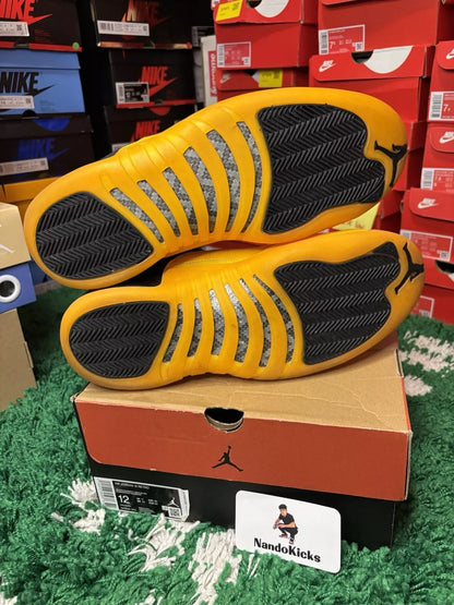 Nike Air Jordan 12 Retro "University Gold 2020 Used "